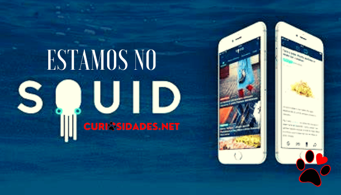 Curiosidades.net.br chega ao App de notícias SQUID